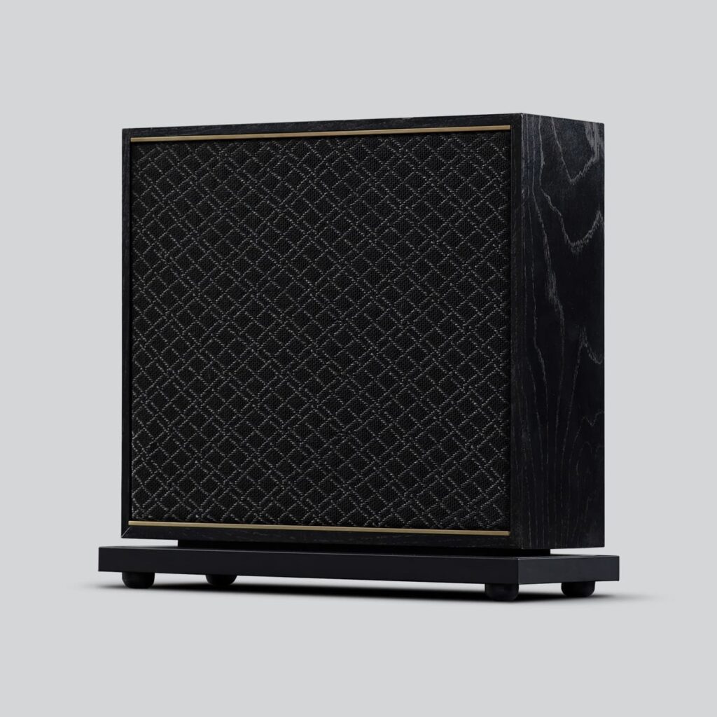 Leon Speakers A10 XXV Subwoofer