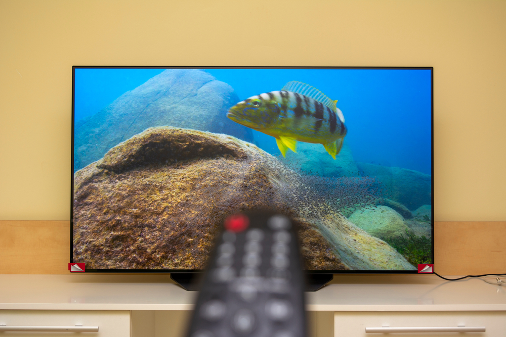 What’s better for bright Florida living rooms – OLED, QLED, or projection